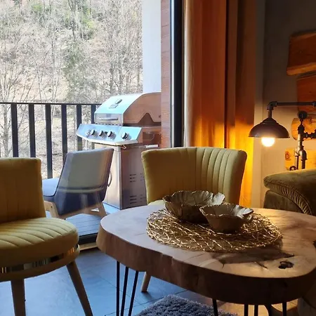 Appartement Spokoloko Wislanska Zloty B1 *