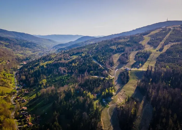 Spokoloko Wislanska Zloty B1