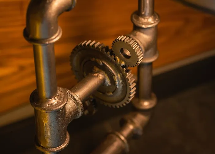 Spokoloko Wislanska Zloty B1 שצ'צ'ירק