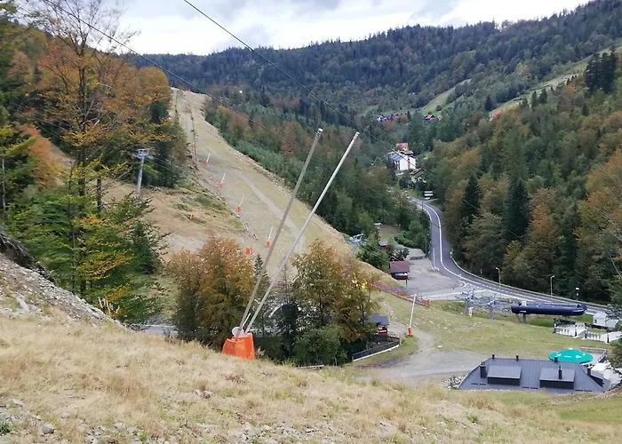 Spokoloko Wislanska Zloty B1 * שצ'צ'ירק